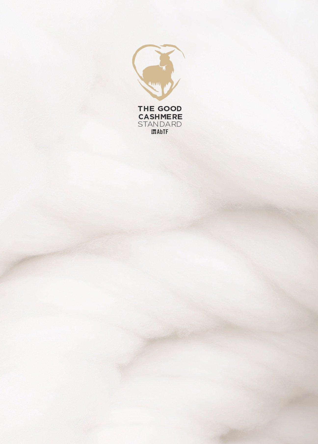 the good cashmere standard