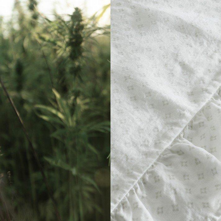 a close up of a white sheet and a green plant