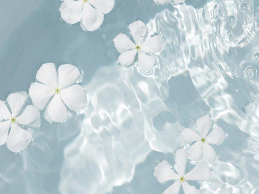 a bunch of white flowers floating in a pool of water