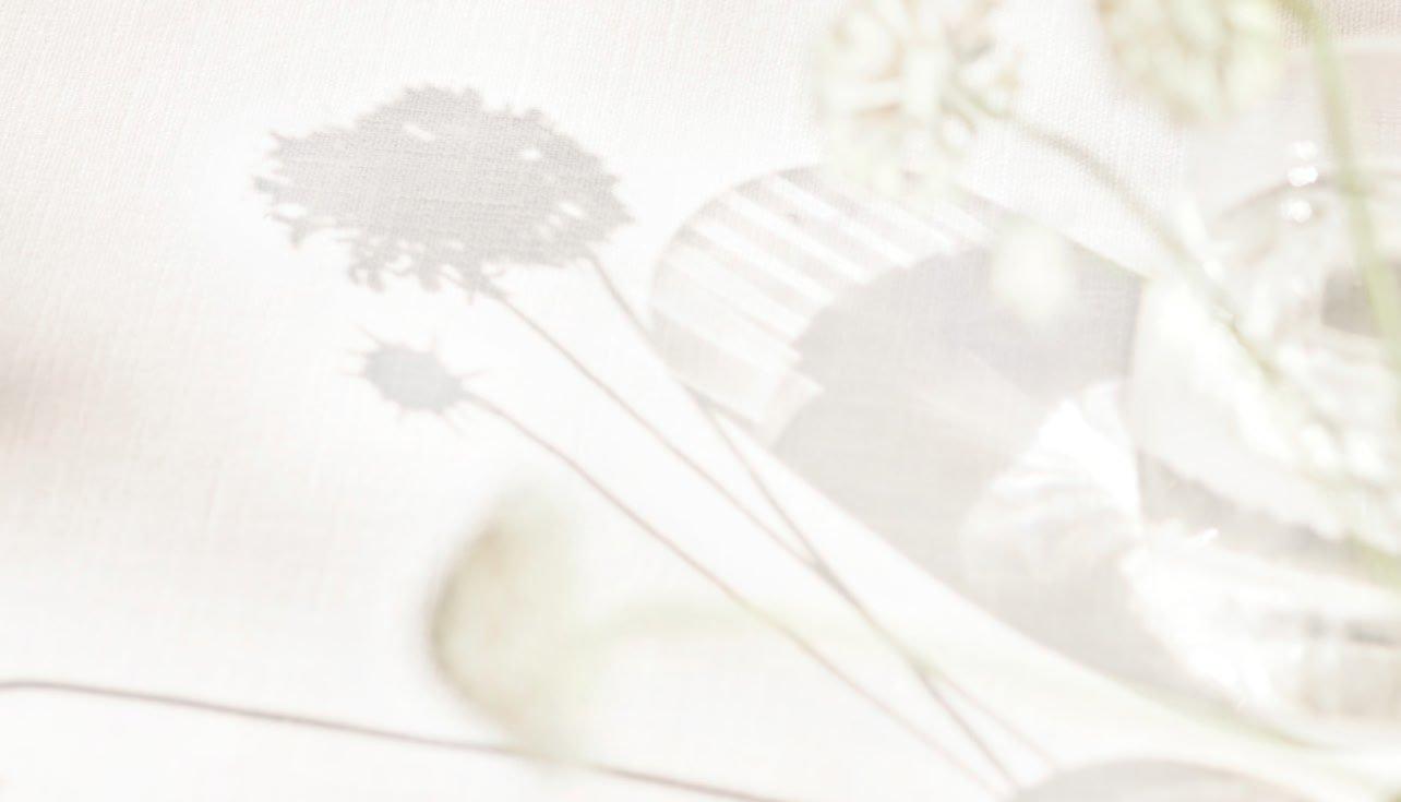 a close up of a vase with flowers and a shadow