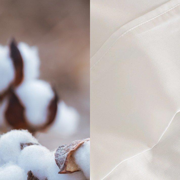 a close up of a cotton plant and a white sheet