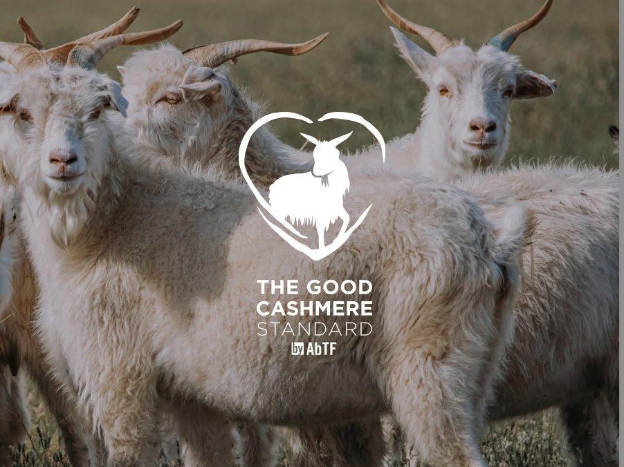a group of goats standing in a field with a sign in the background