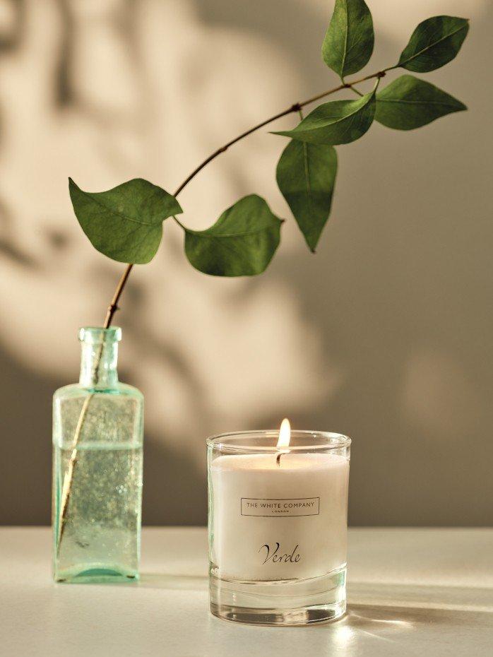 a candle and a plant on a table next to each other