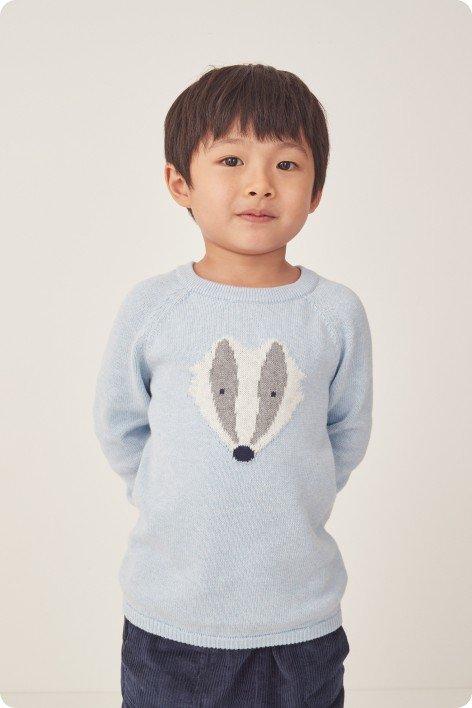 a little boy wearing a blue sweater with a badger on it