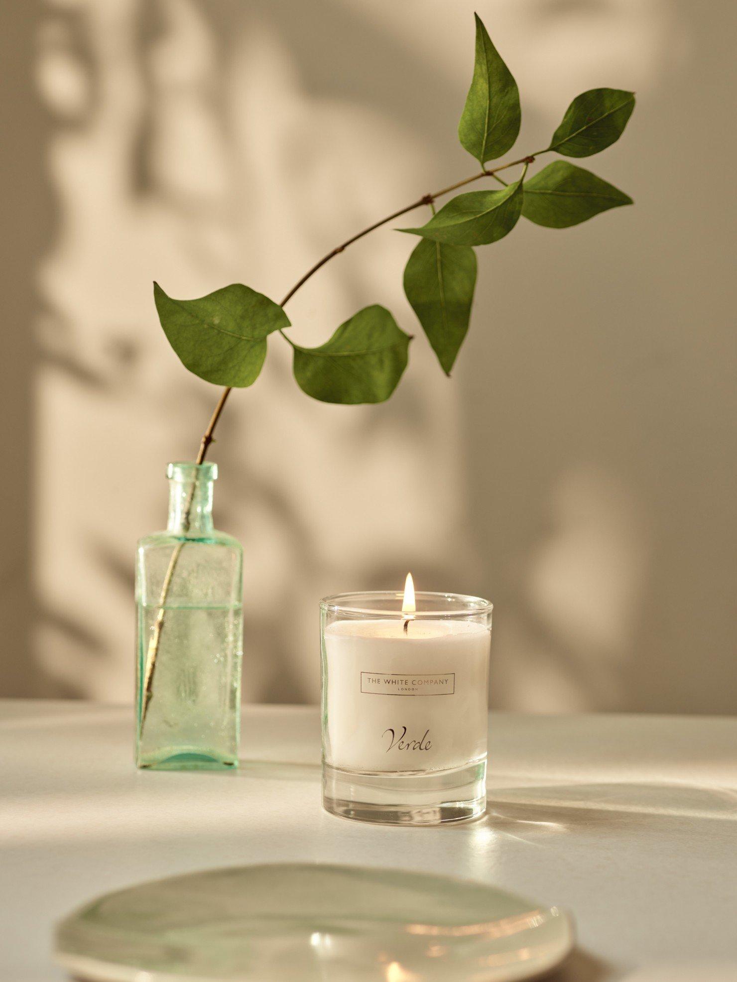 a candle and a plant on a table next to a plate