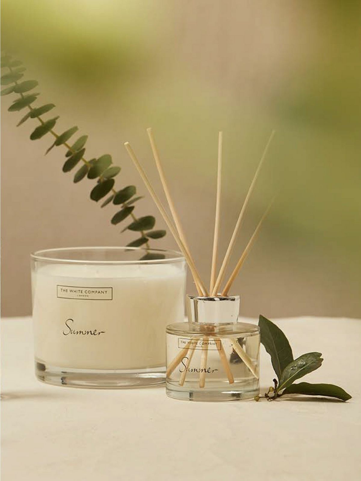 a candle and reed diffuser on a table with a plant