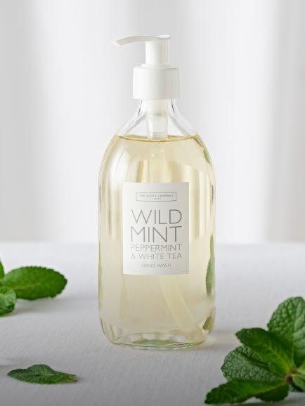 hand wash and soap 